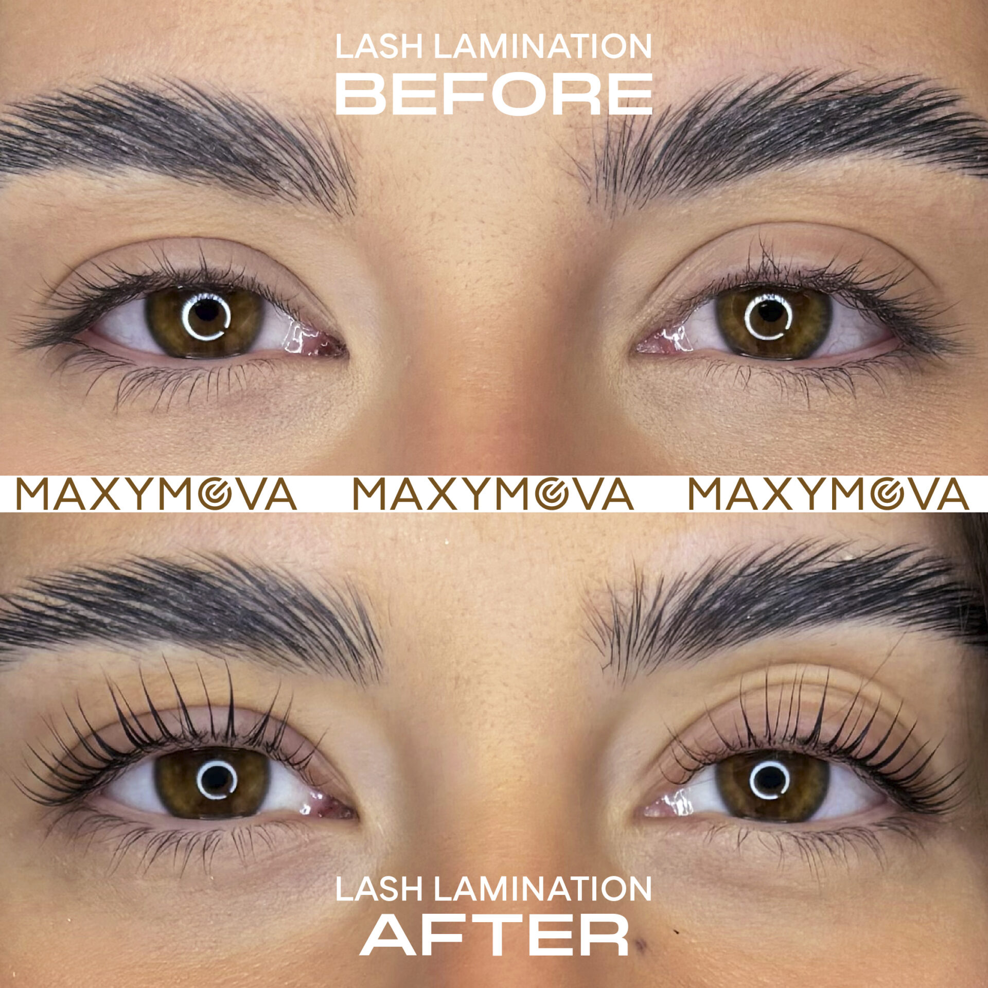 Maxymova lash lift