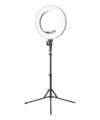 Professional LED Ring Light 48W