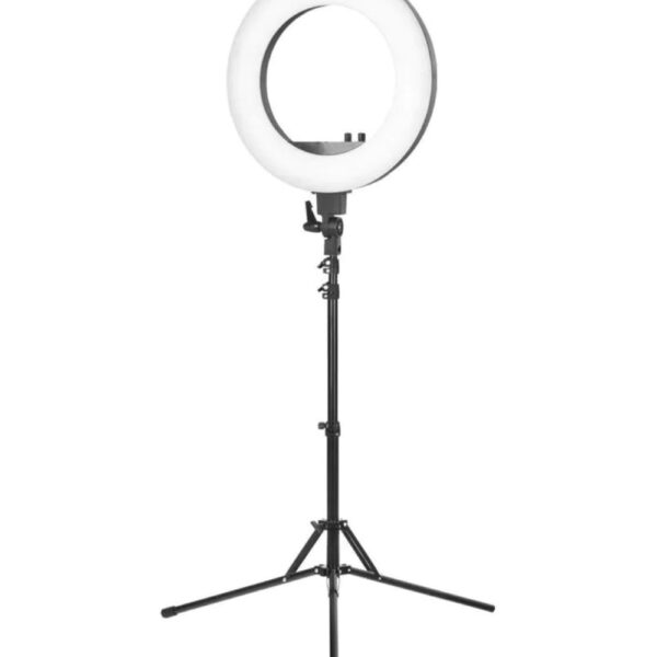 Professional LED Ring Light 48W